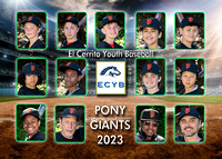 Team 22 Pony Giants