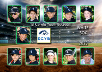 Team 25 Mustang White Sox