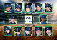 Team 16 Bronco Red Sox