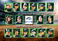 Team 4 Shetland Black