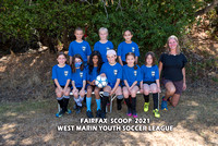Team 19 _ Fairfax Scoop