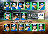 Team 18 Mustang Cubs