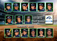 Team 19 Mustang Yankees