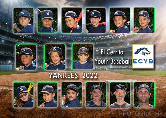 Yankees _ Team 19