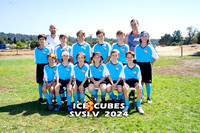 AA_1.1_0070 copy
