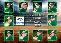 Team 10 Pinto Oaks