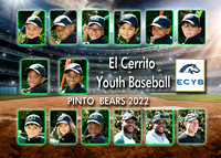 Team 16 Pinto Bears