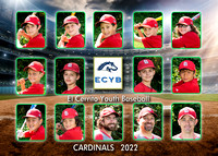 Team 17 Cardinals