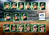 Team 20 White Sox