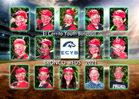 Team 10 Bronco Reds