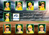 Team 5 Shetland Yellow