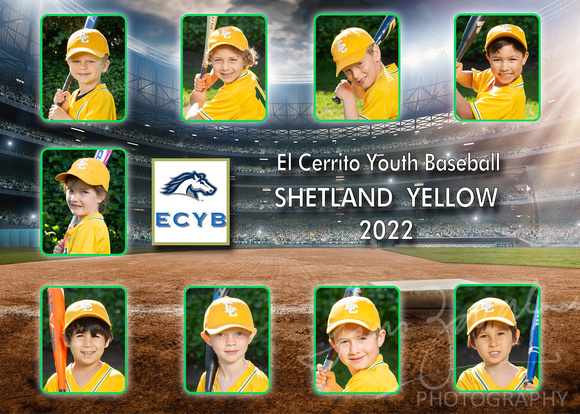 ECYB_team_05 SHELAND YELLOW